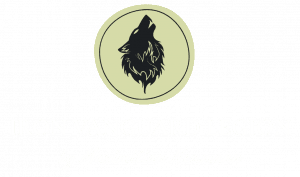 Iron Vanguard Legion